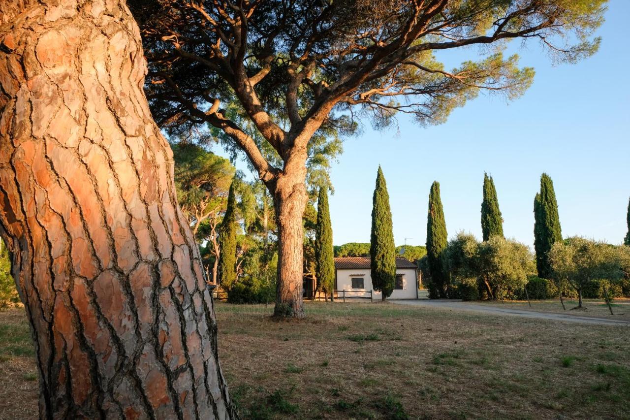 Residence La Canova II Γκροσέτο Εξωτερικό φωτογραφία