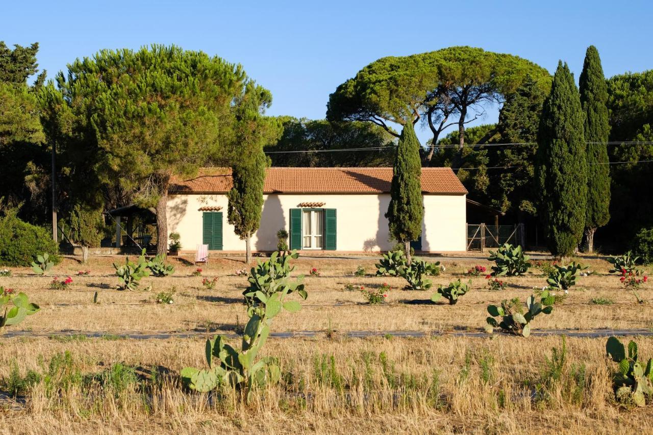 Residence La Canova II Γκροσέτο Εξωτερικό φωτογραφία