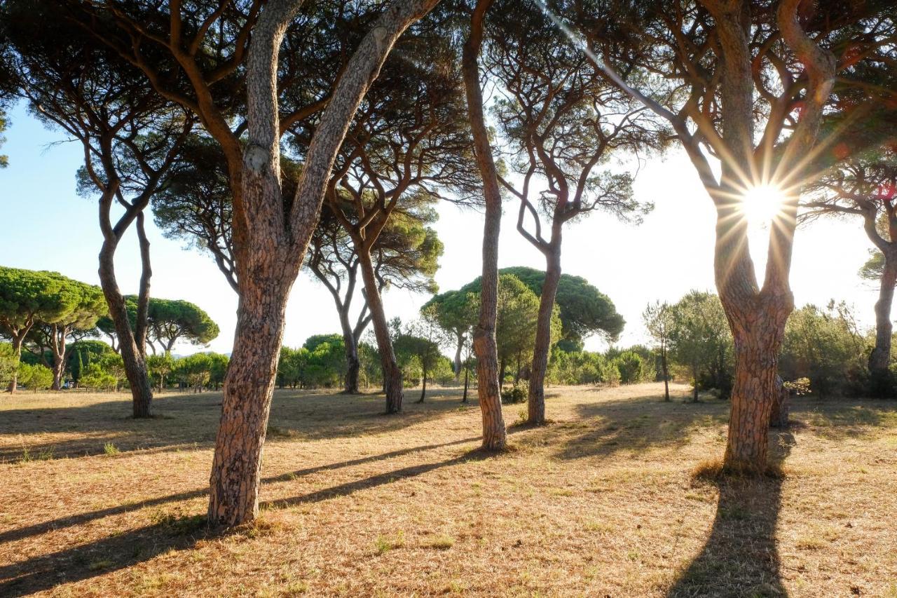 Residence La Canova II Γκροσέτο Εξωτερικό φωτογραφία
