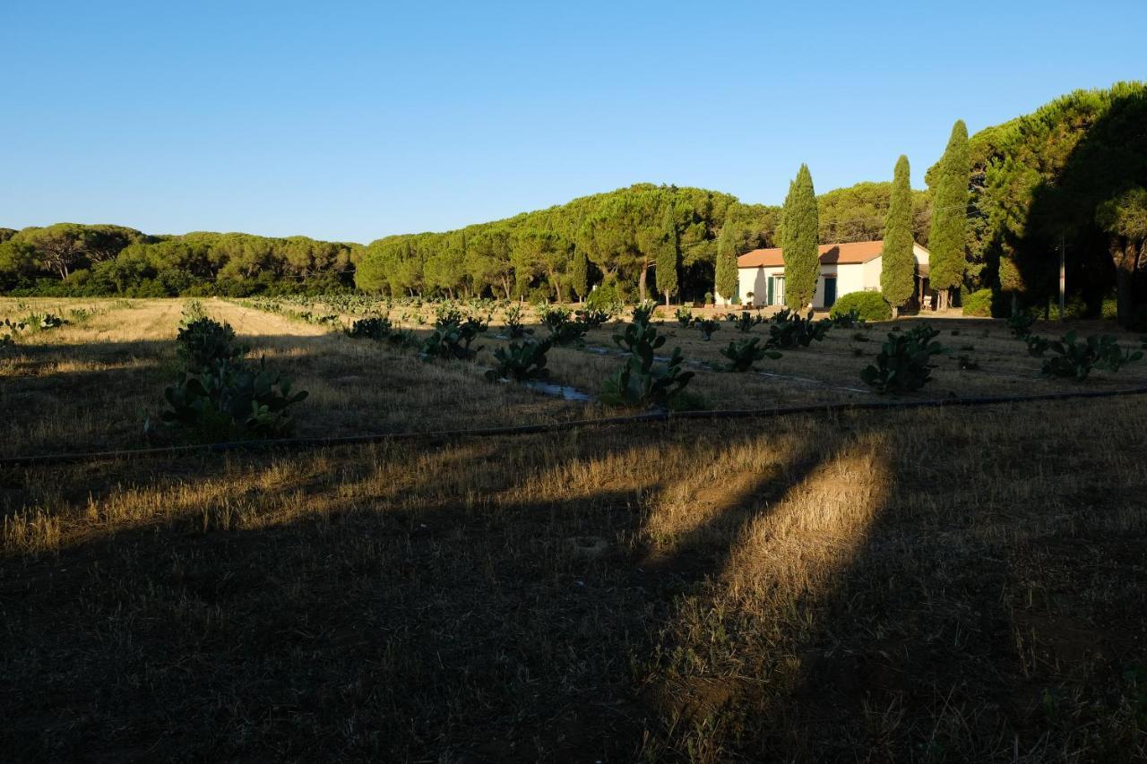 Residence La Canova II Γκροσέτο Εξωτερικό φωτογραφία