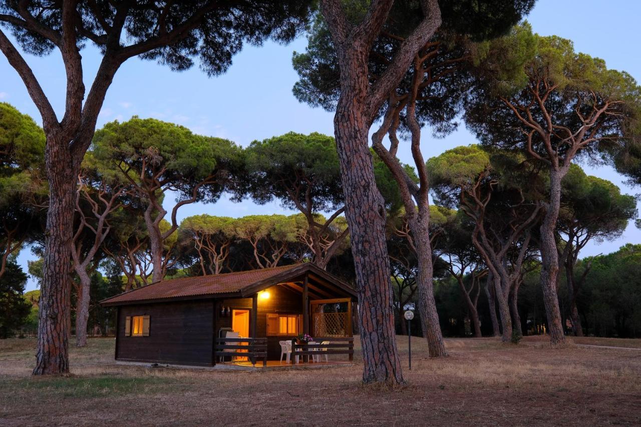 Residence La Canova II Γκροσέτο Εξωτερικό φωτογραφία