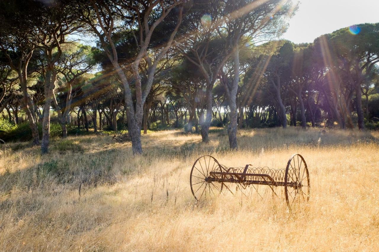 Residence La Canova II Γκροσέτο Εξωτερικό φωτογραφία