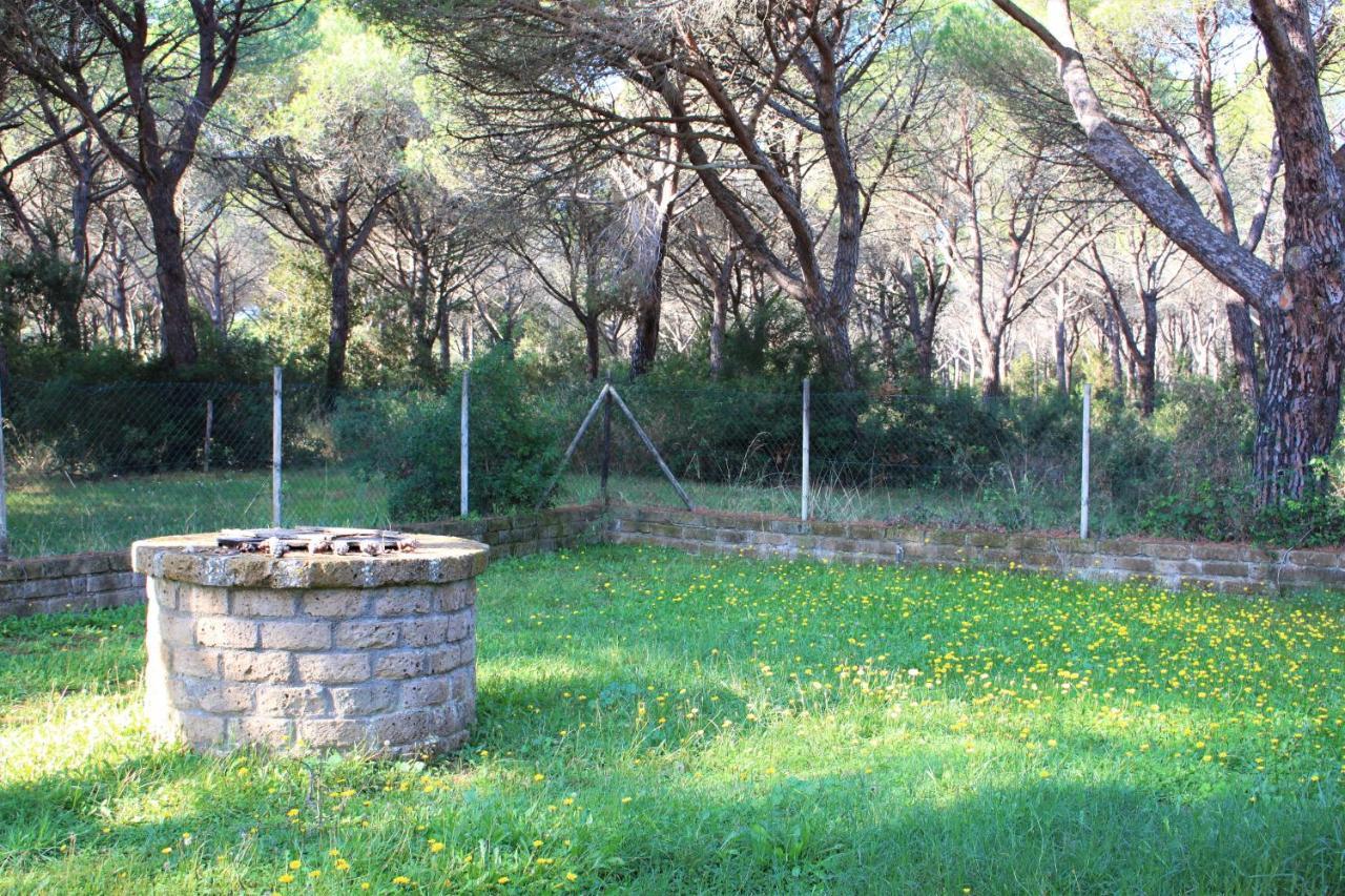 Residence La Canova II Γκροσέτο Εξωτερικό φωτογραφία
