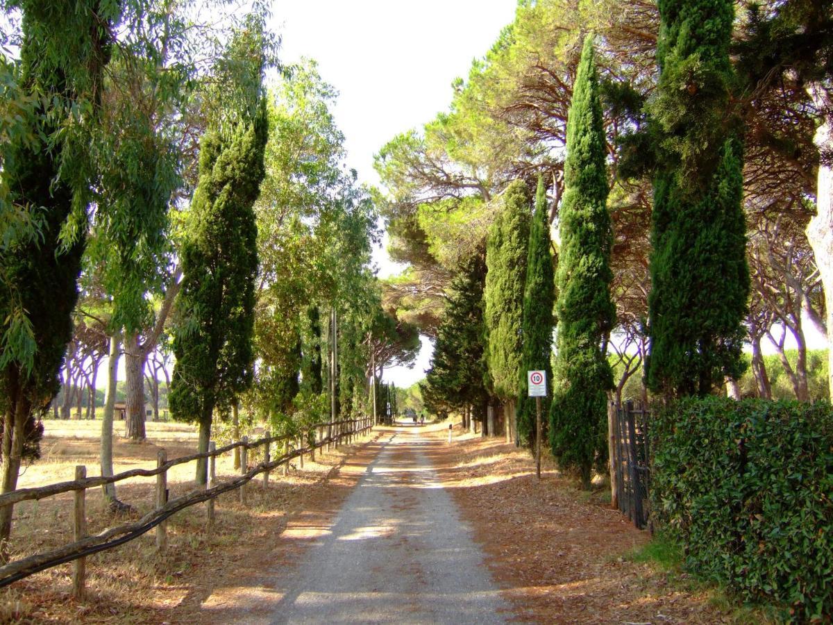Residence La Canova II Γκροσέτο Εξωτερικό φωτογραφία